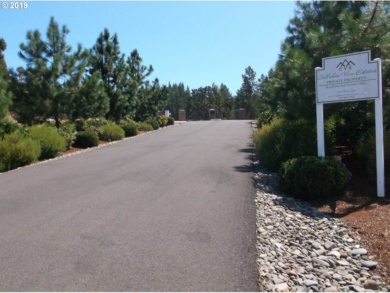301 Jasmine Way - Photo 1