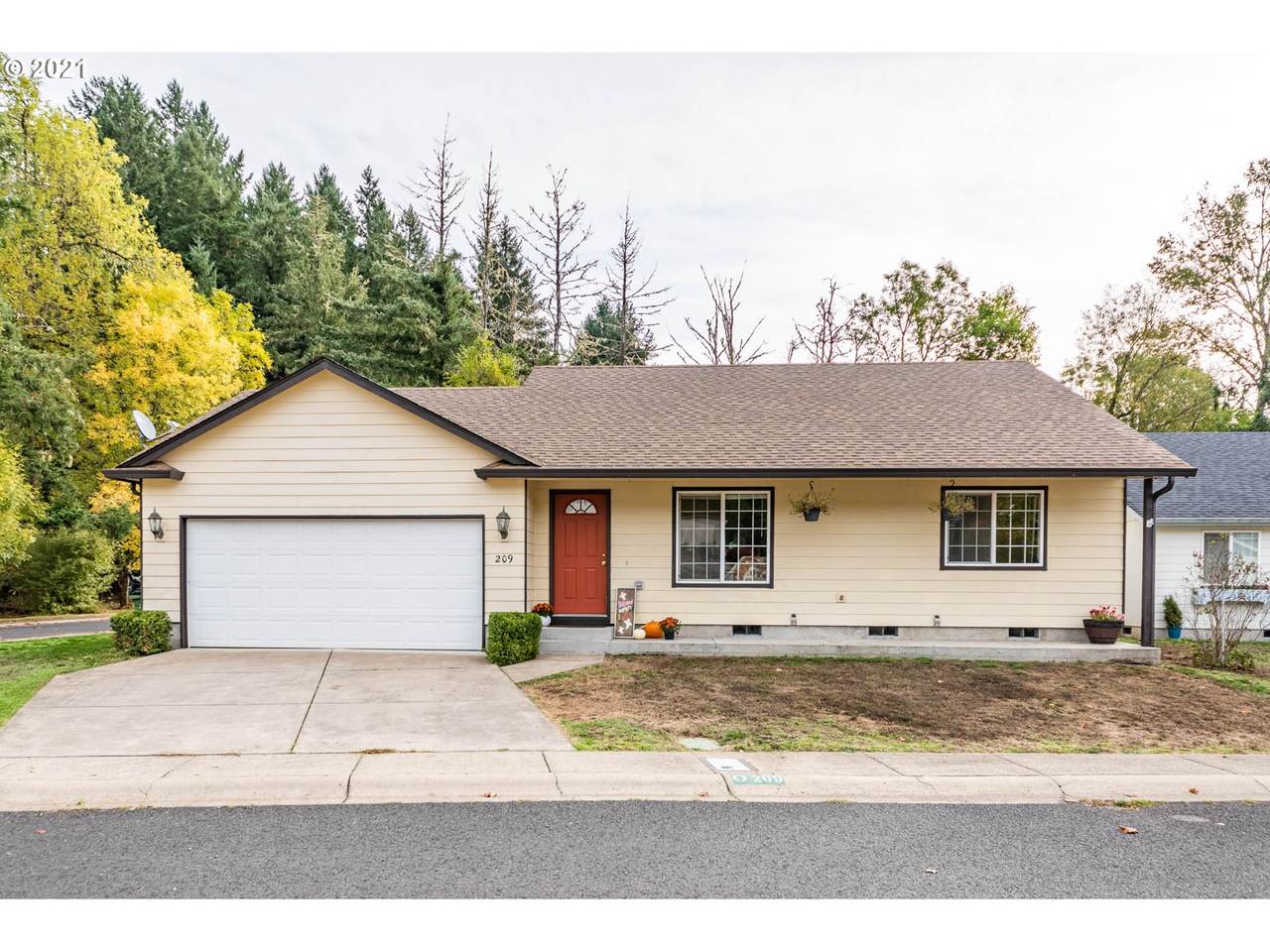 209 Bluebird St - Photo 1