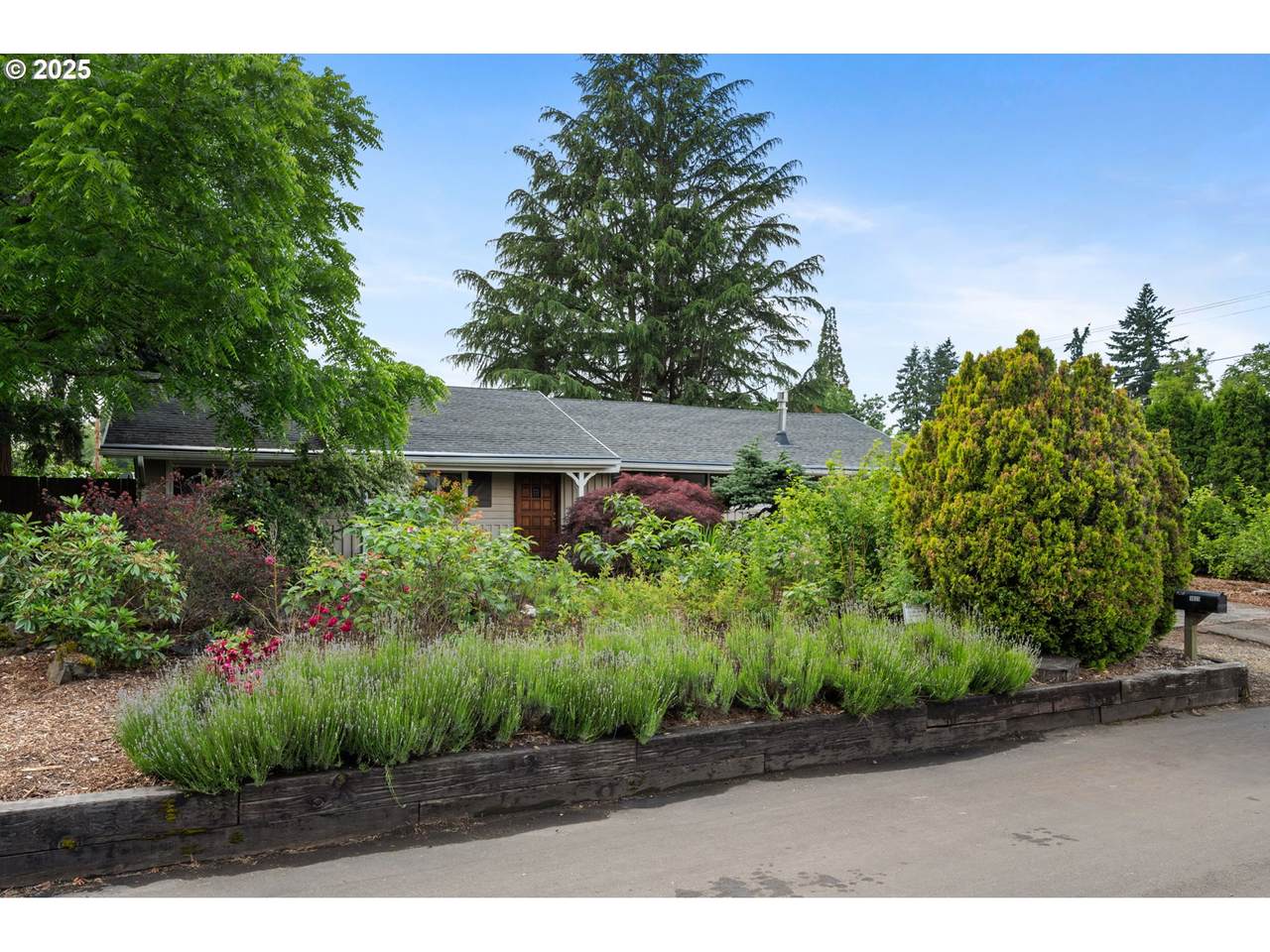 1925 130TH Ave - Photo 1