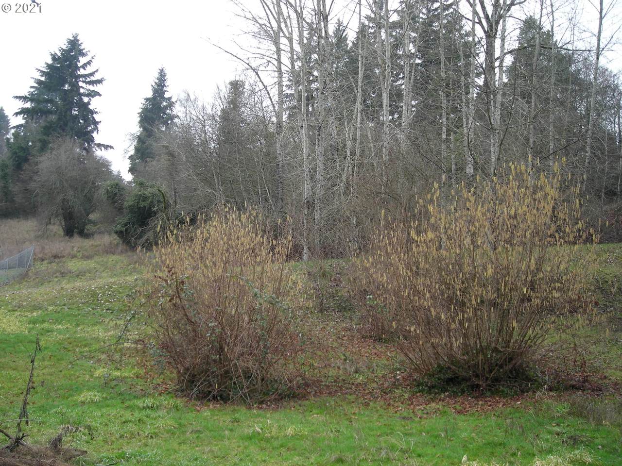 0 54th St - Photo 1