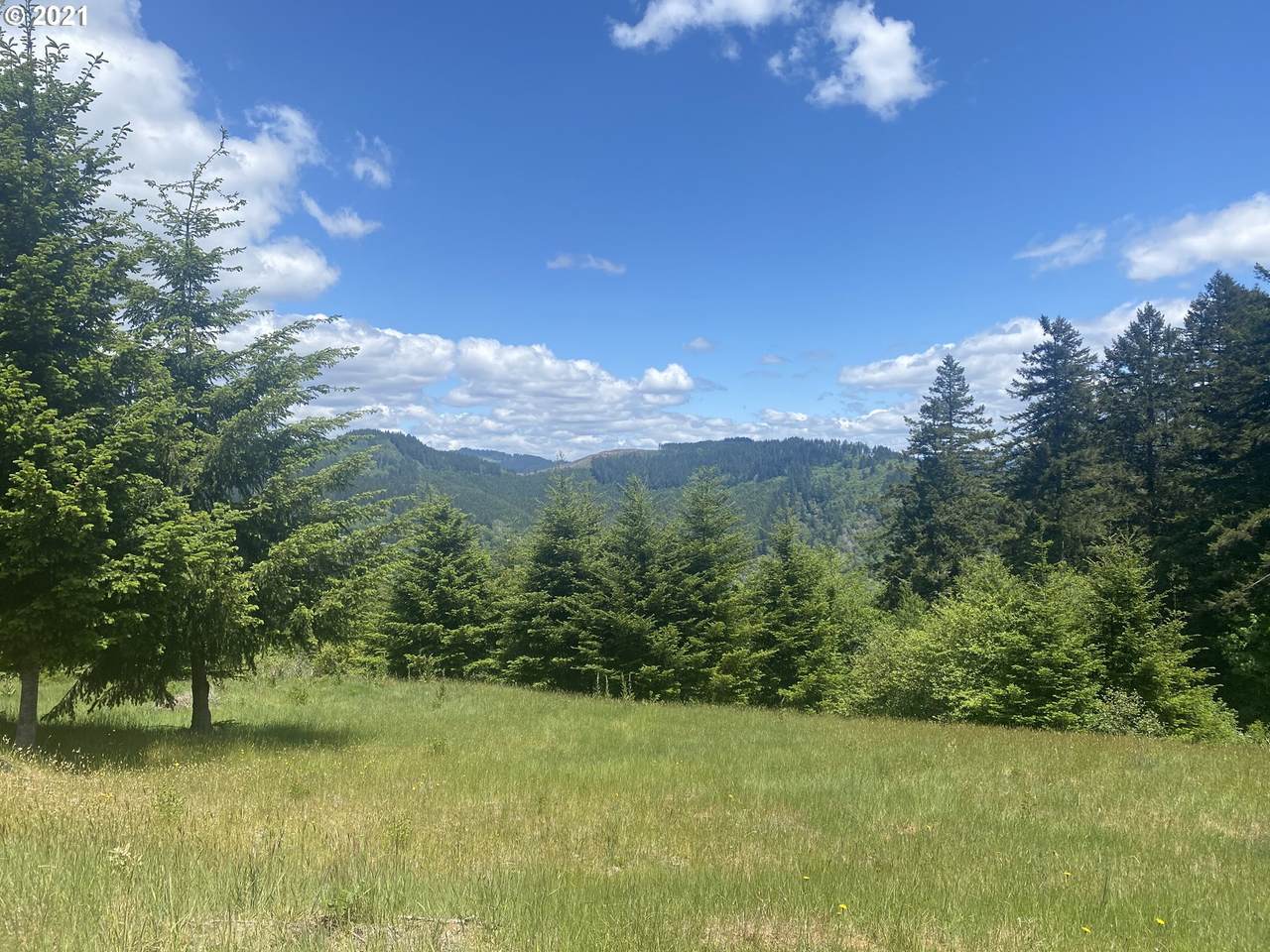 98024 Sunforest Ct - Photo 1