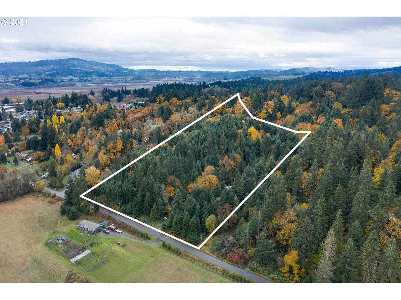 46250 South Rd - Photo 1