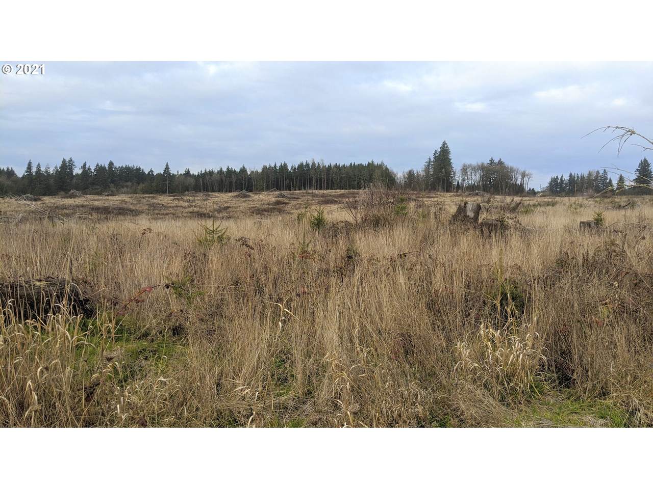 Smith Rd - Photo 1