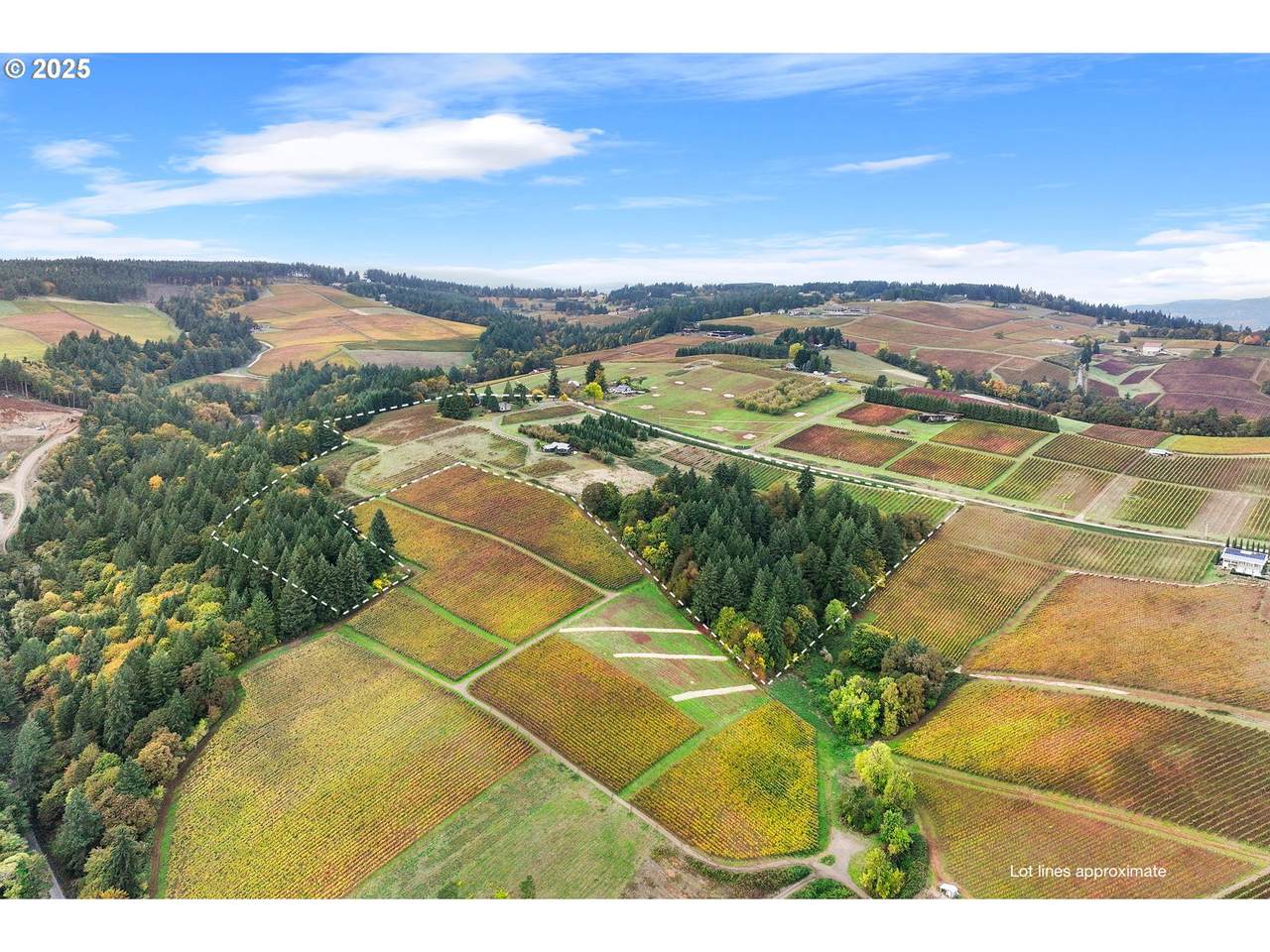 9325 Worden Hill Rd - Photo 1