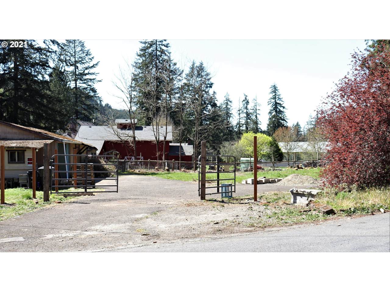 36004 Kuban Rd - Photo 1