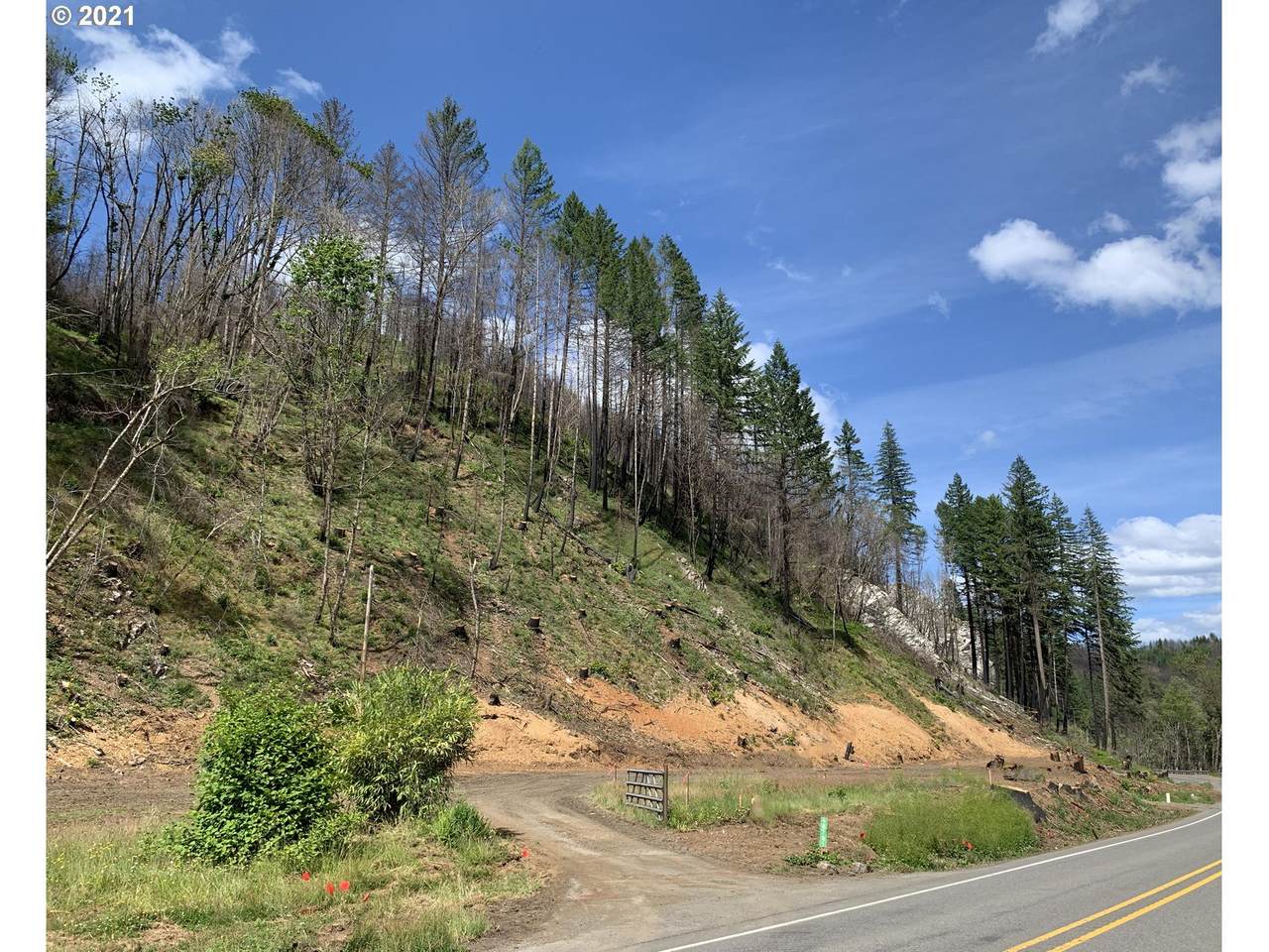 48791 Mckenzie Hwy - Photo 1