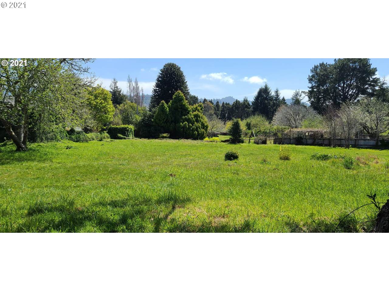 95697 Jerrys Flat Rd - Photo 1