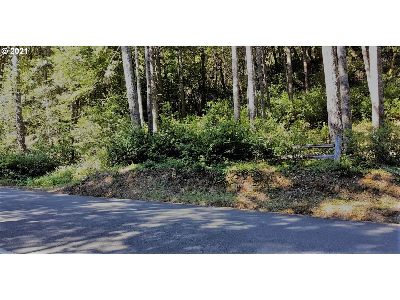 Agness-Illahe Rd - Photo 1