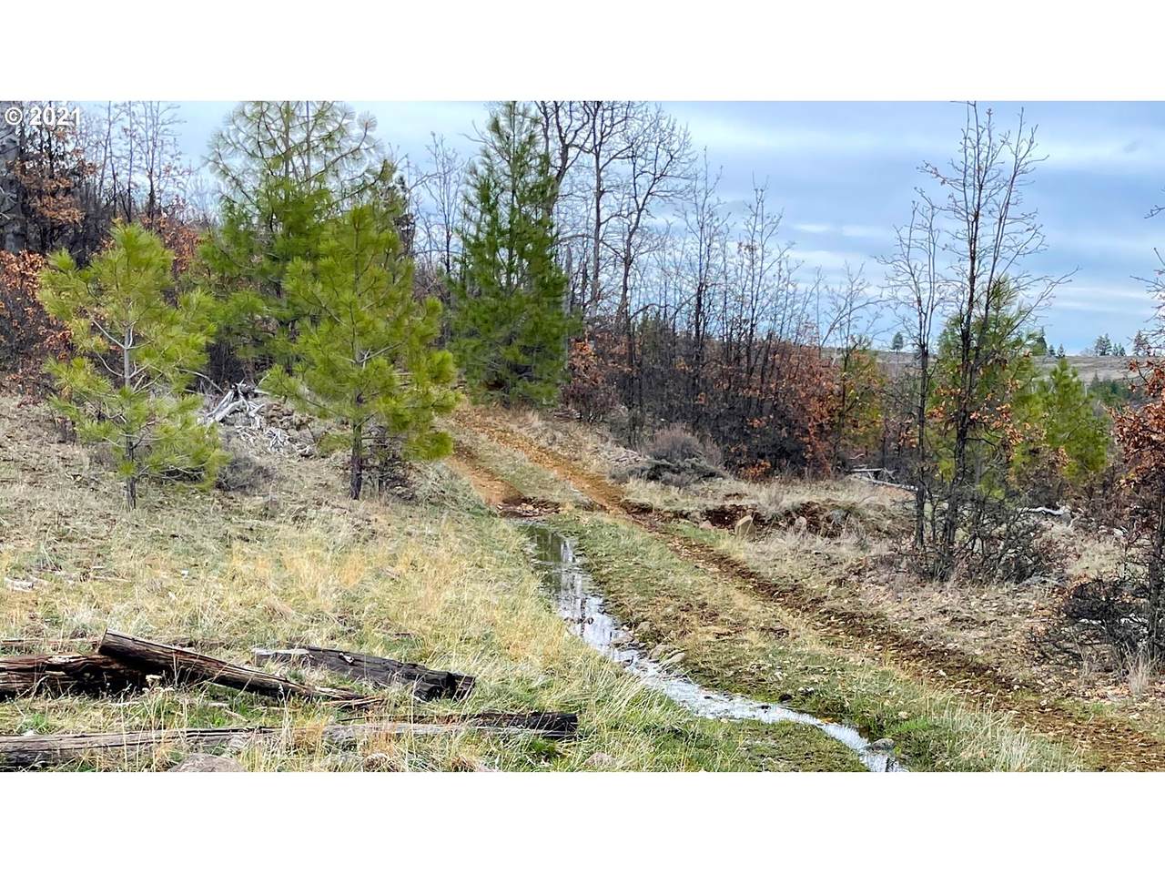 0 Bickleton Hwy - Photo 1