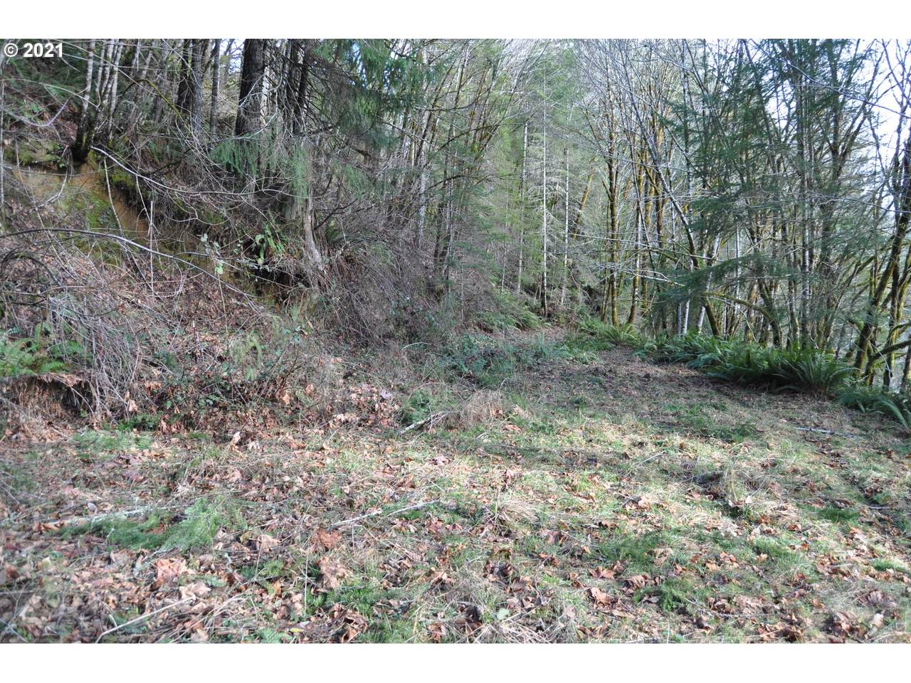 Hwy 36 - Photo 1