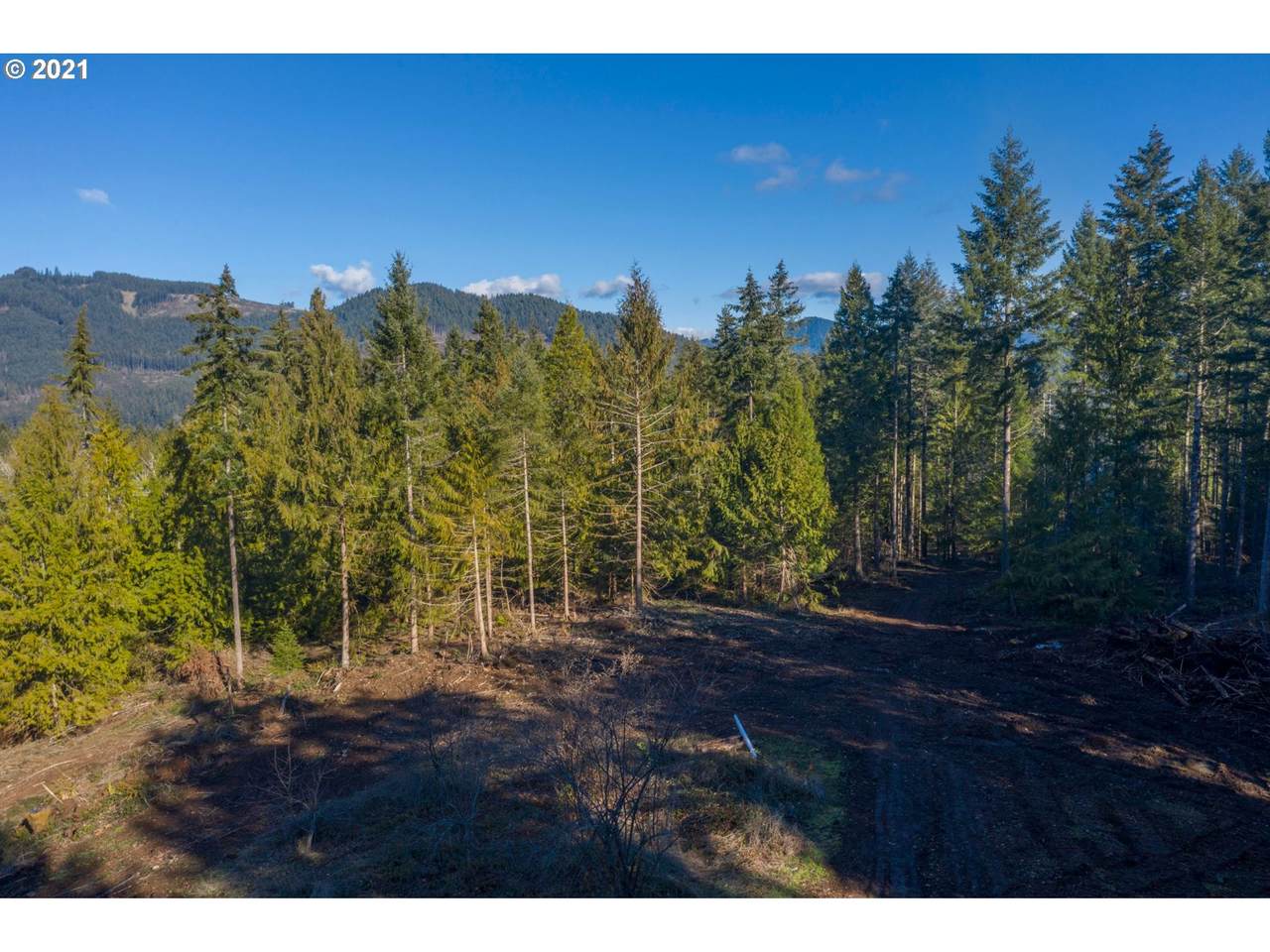 0 Minnow Creek Rd - Photo 1