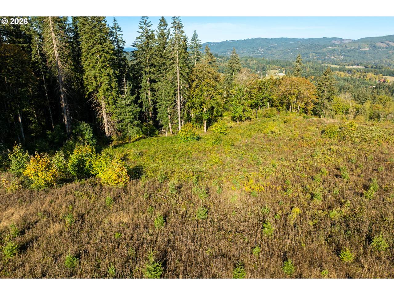 https://bt-photos.global.ssl.fastly.net/portland/1280_boomver_1_212935557-2.jpg