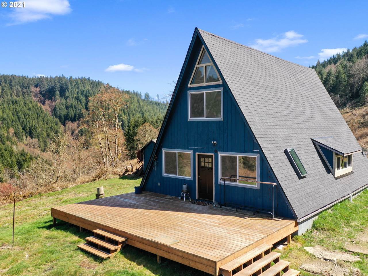 333 Phelps Mountain Ln - Photo 1
