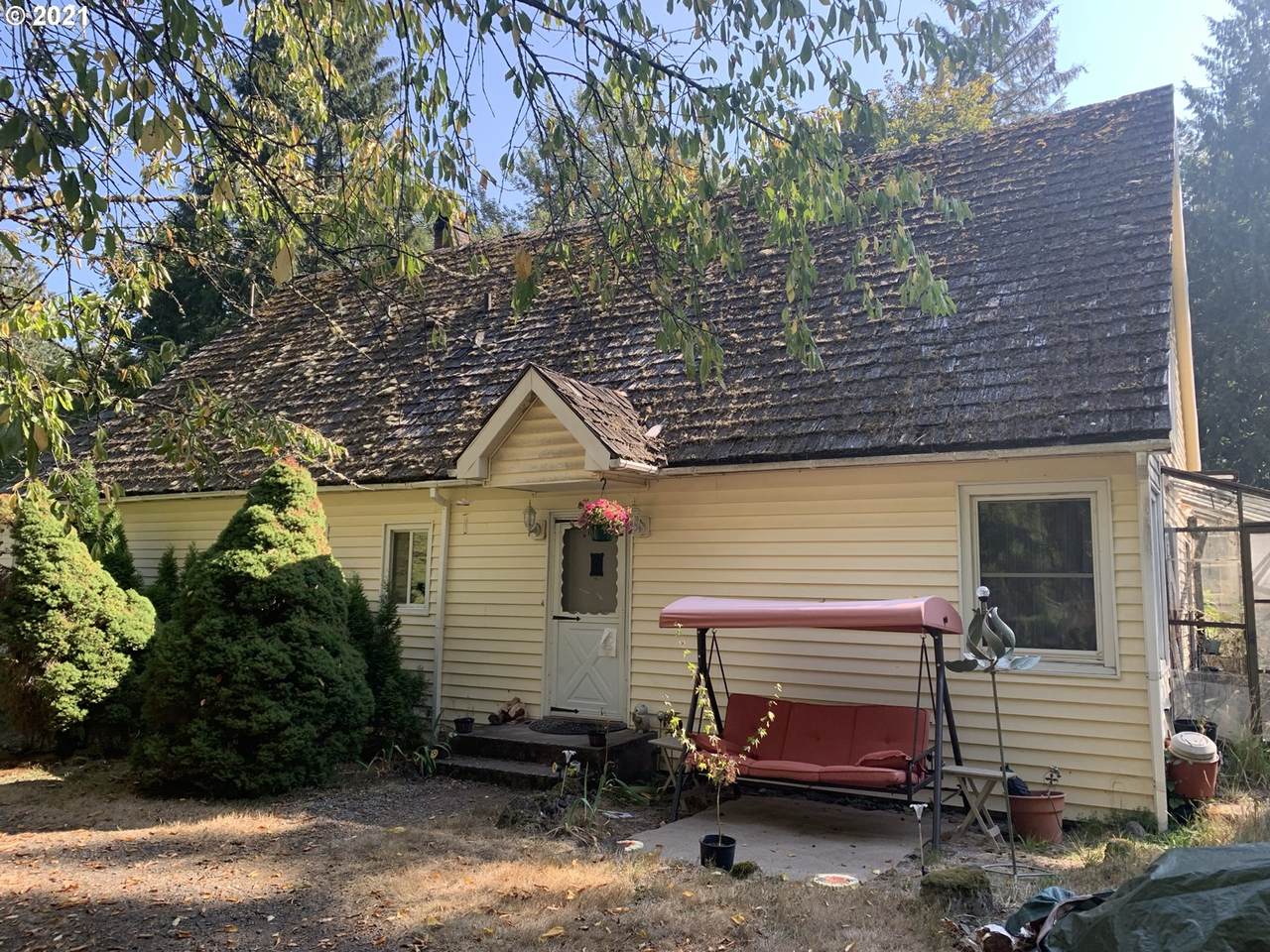 20220 Forest Fern Dr - Photo 1