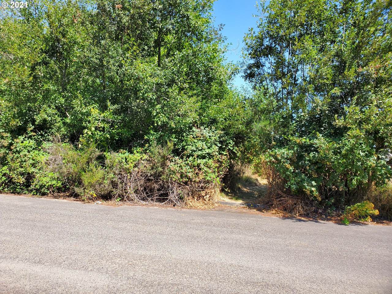 Howard Dr - Photo 1