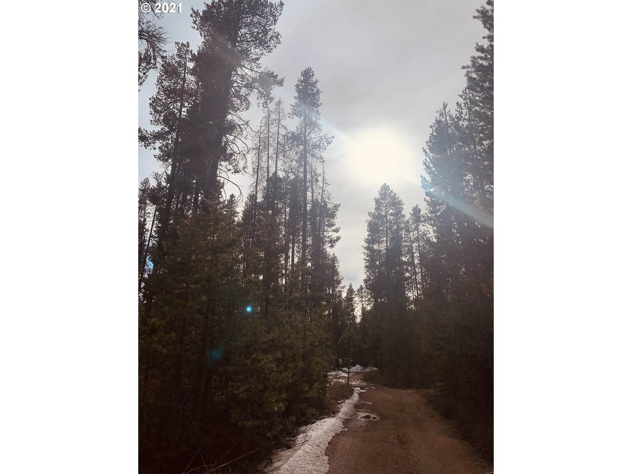 400 Hwy 97 - Photo 1