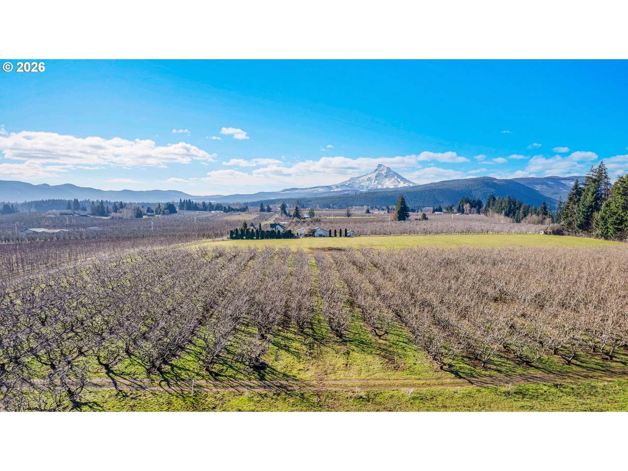 4510 Oleary Rd - Photo 1