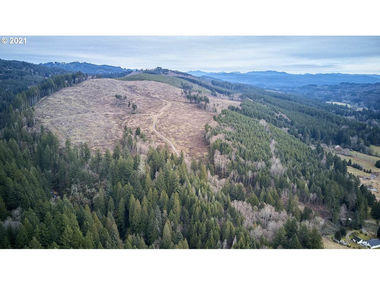3 Pup Creek Rd - Photo 1