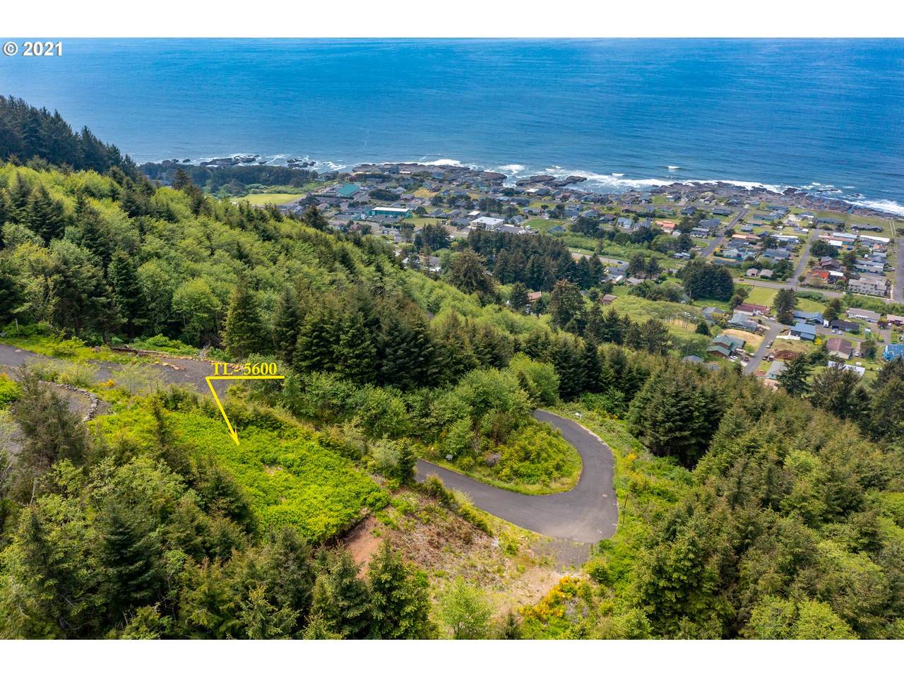 Horizon Hill - Photo 1