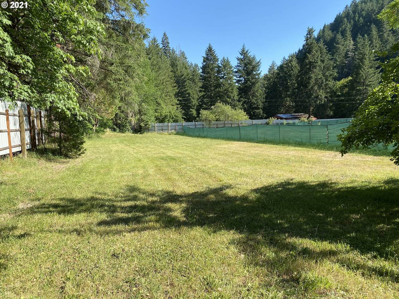 650 Lees Creek Rd - Photo 1