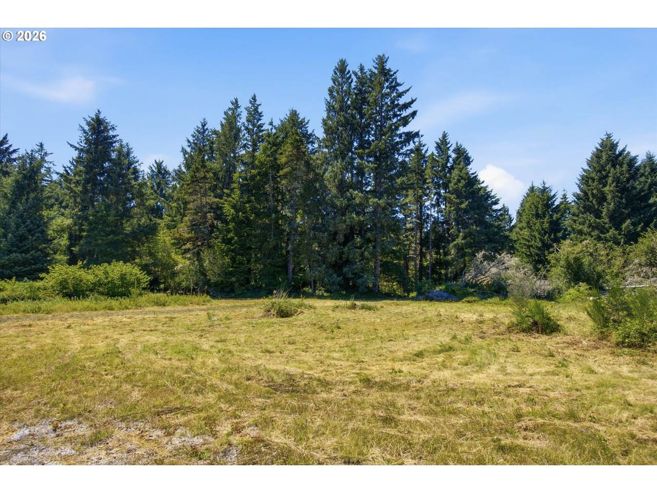 9905 Sandridge Rd - Photo 1