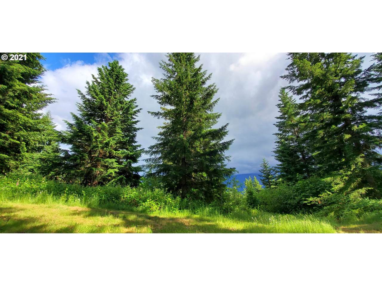 1806 Duncan Creek Rd - Photo 1