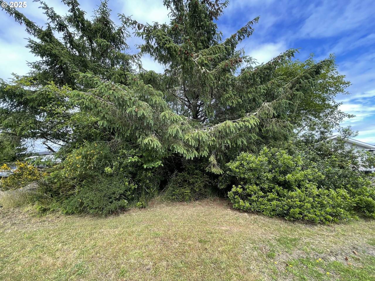 572 Duck Lake Dr - Photo 1