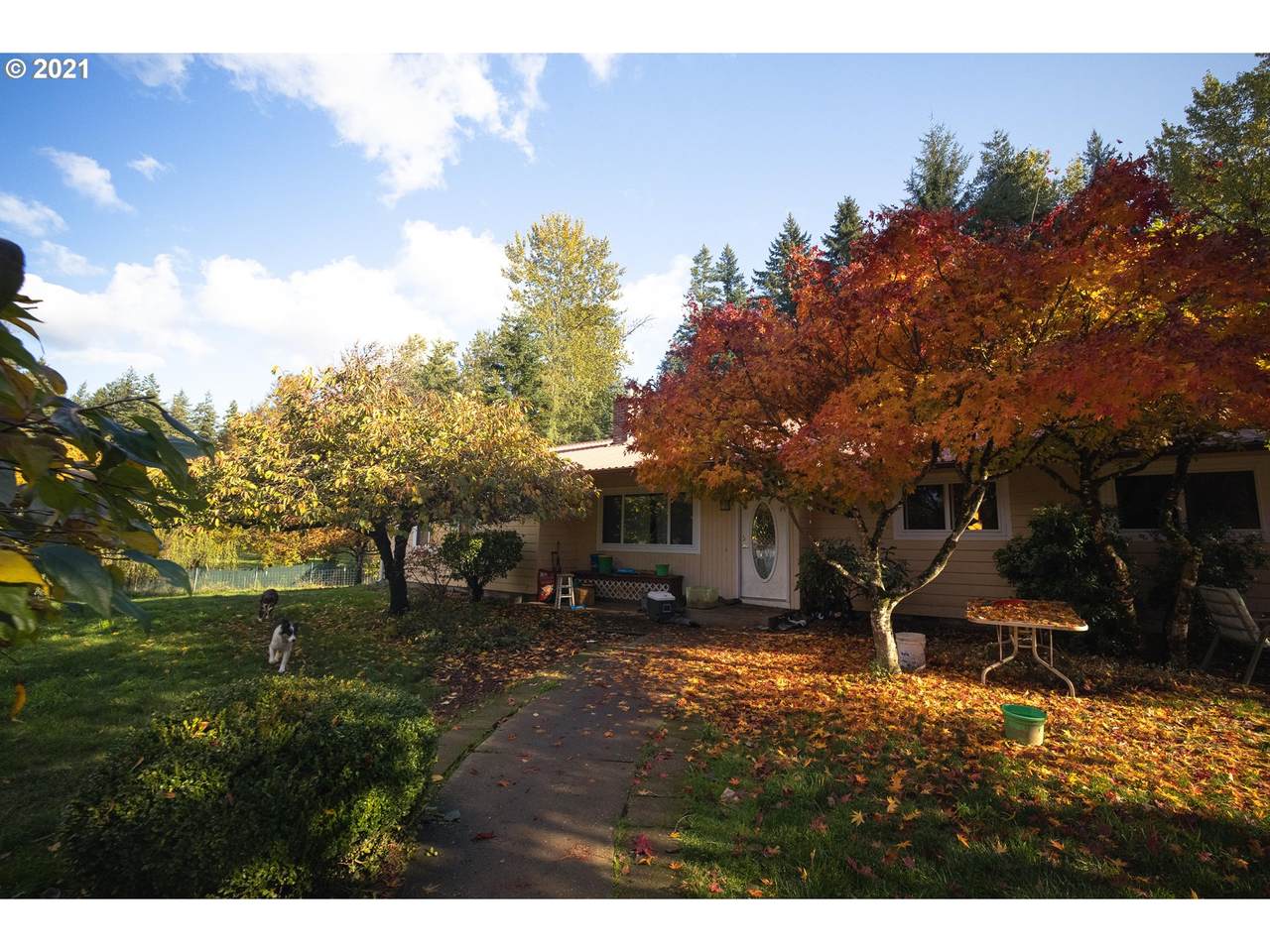 7705 252 St - Photo 1