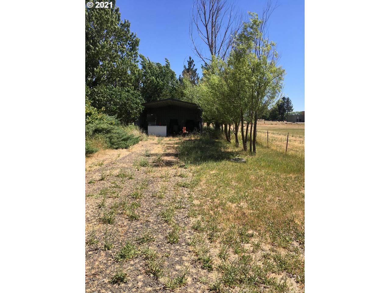 810 Roosevelt - Photo 1