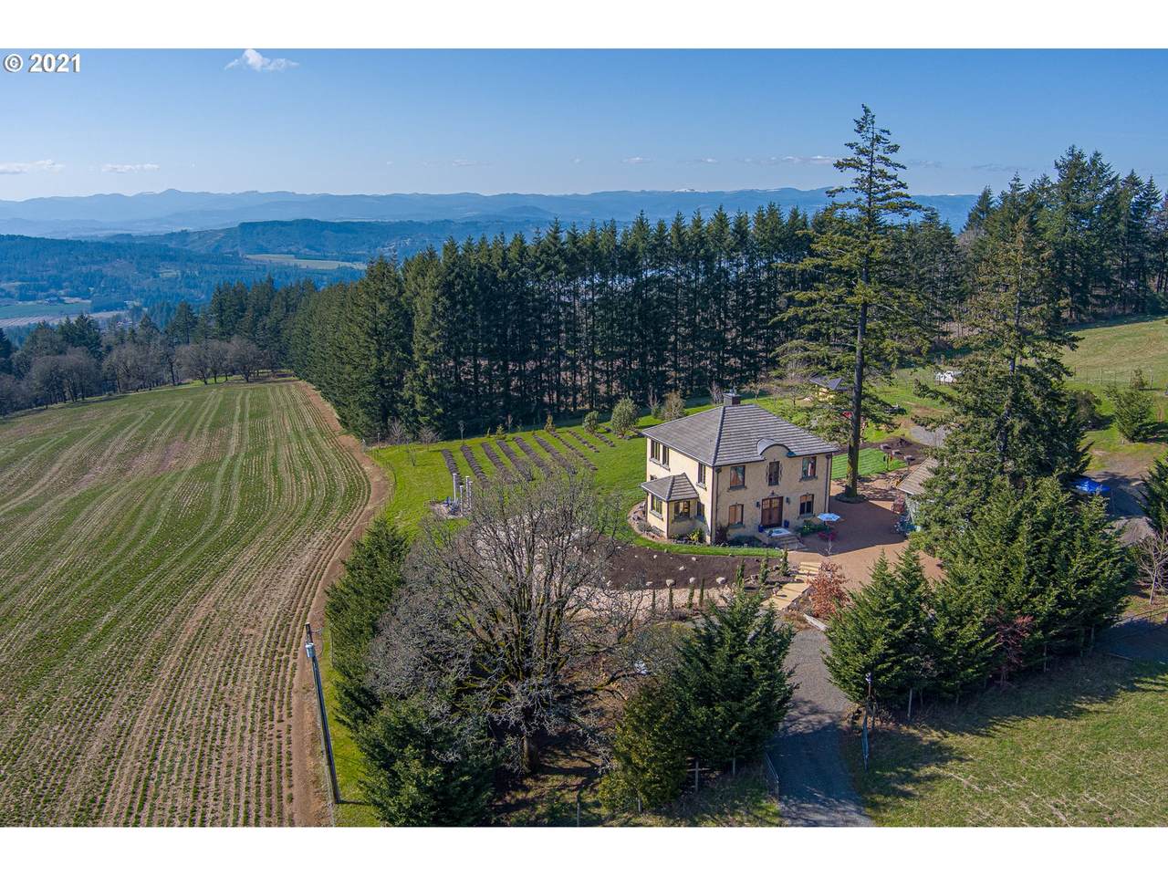 24015 Guenther Rd - Photo 1