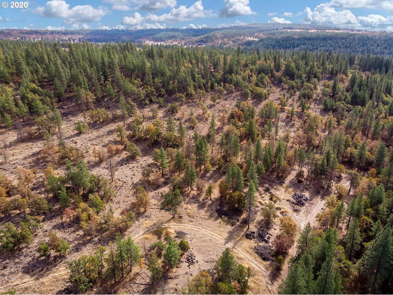 Hwy 97 - Photo 1
