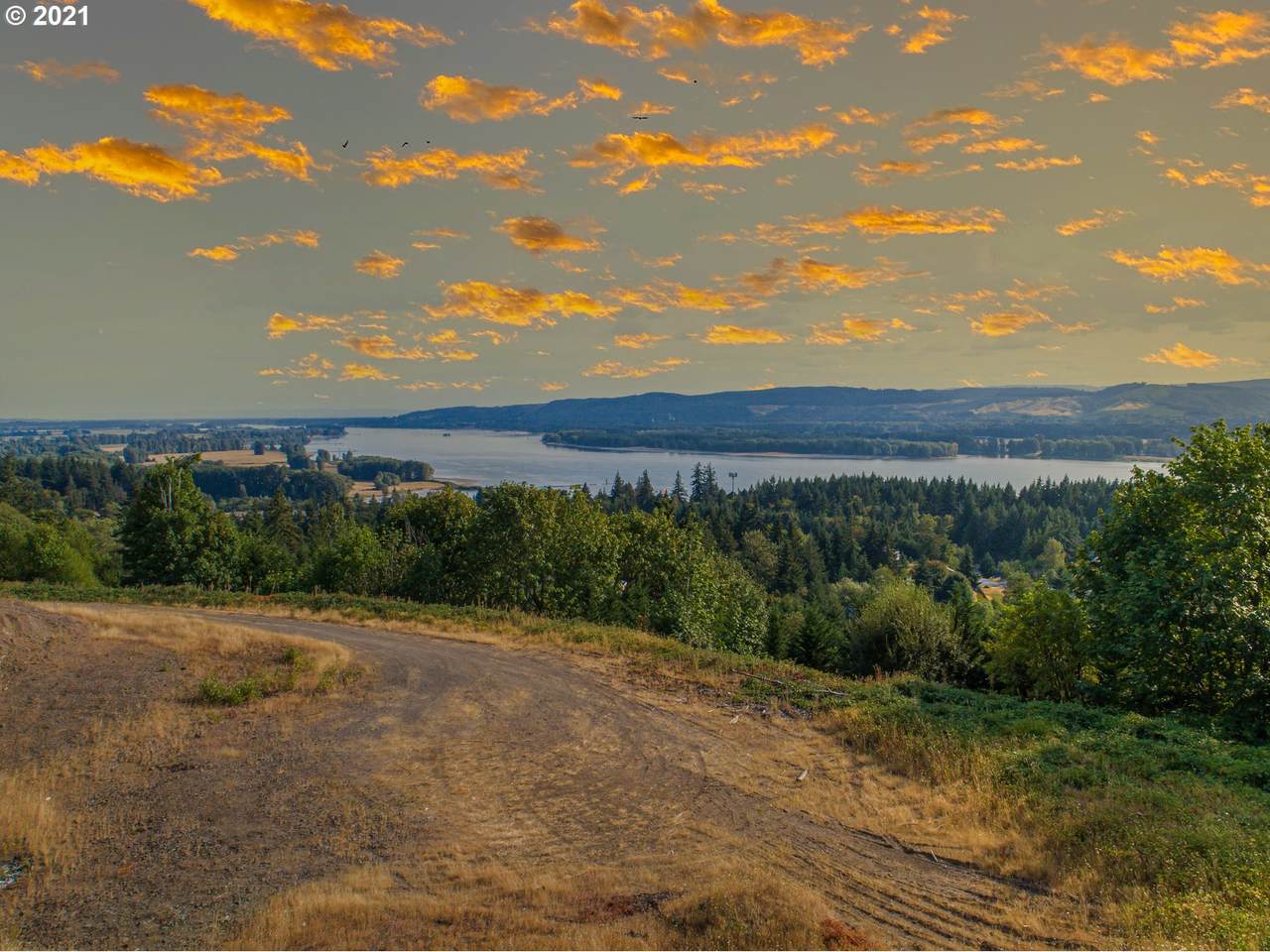 175 Mountain Reign Rd - Photo 1