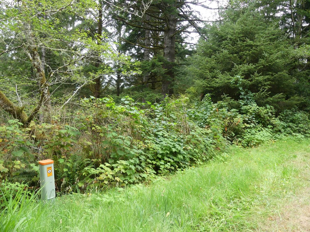 Mercer Lake Rd - Photo 1