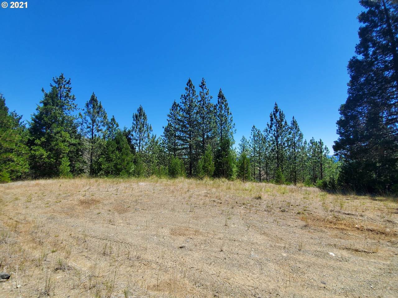 0 Spring Brook Rd - Photo 1