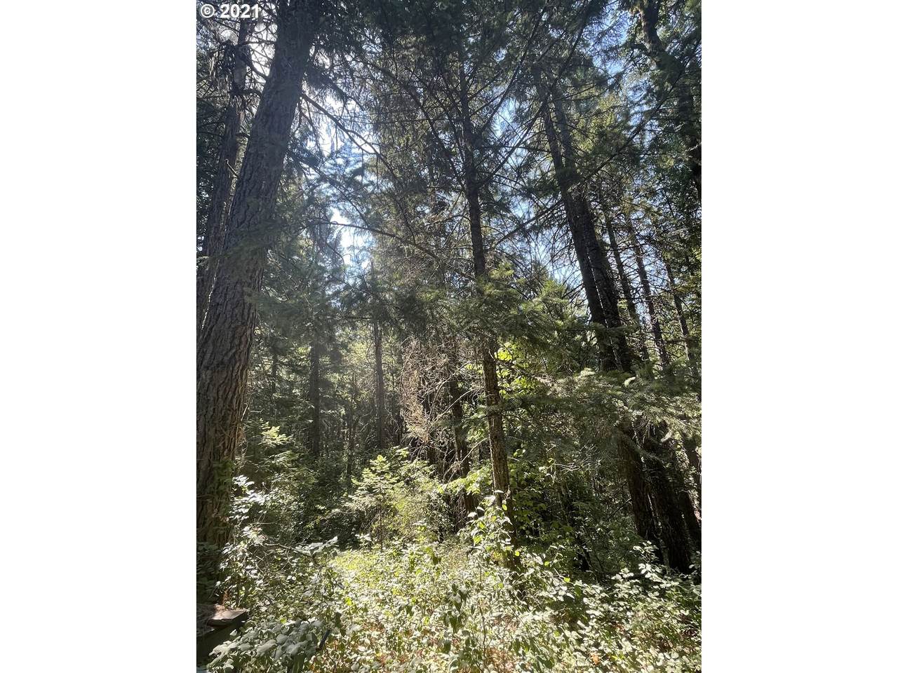 Lyons Rd - Photo 1