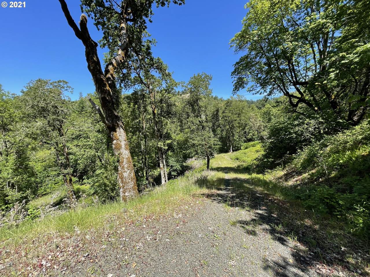 278 Deer Fern Way - Photo 1