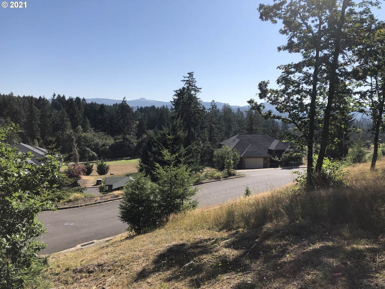 1147 La Rae Dr - Photo 1