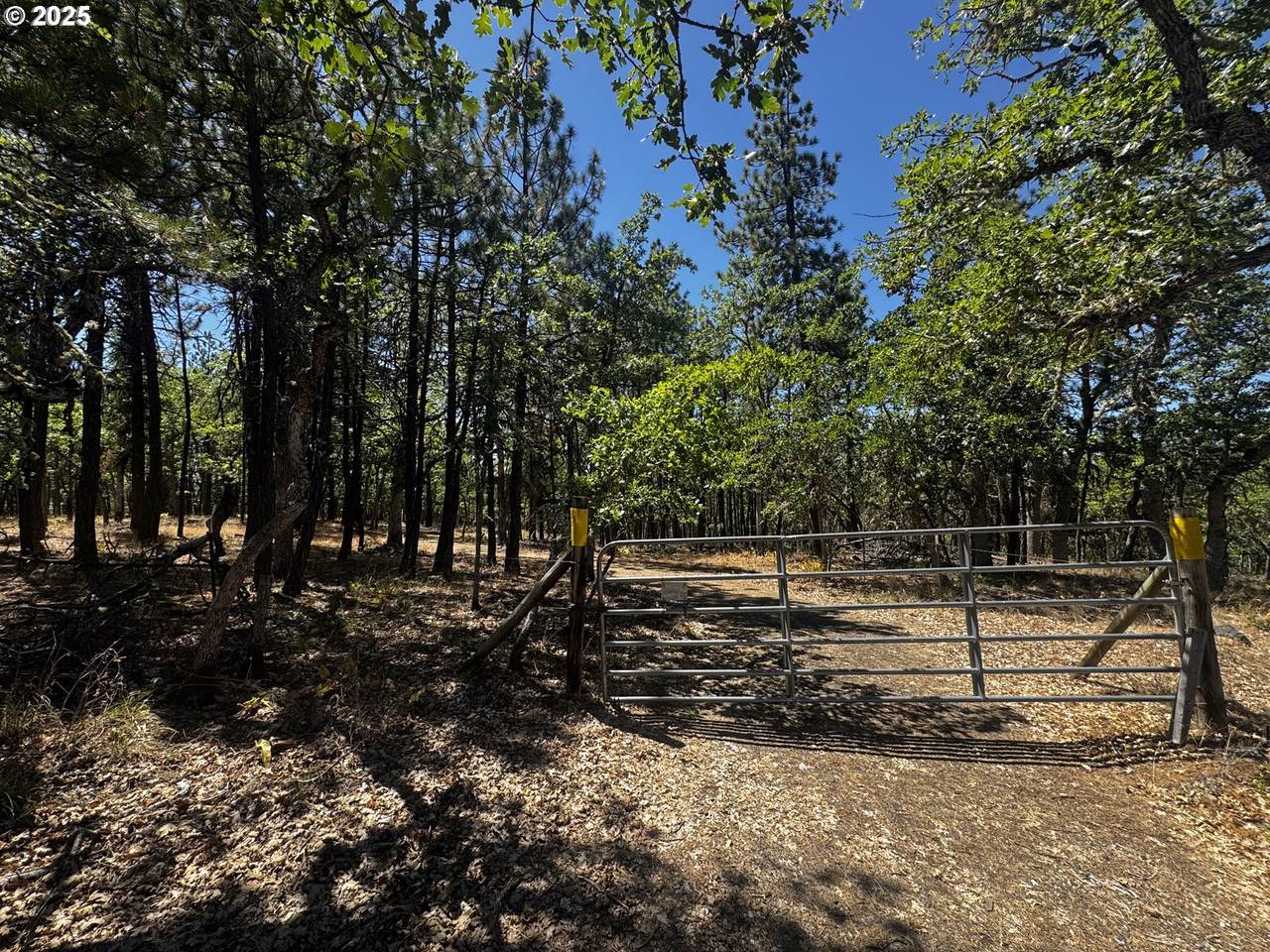 31 Oak Meadow Way - Photo 1