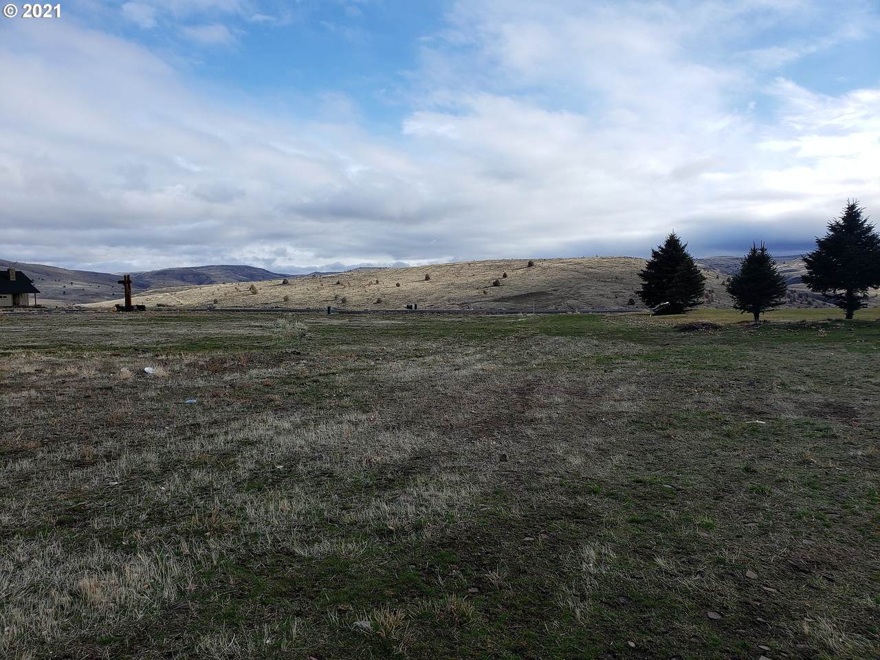 1430 Fish Camp Rd - Photo 1