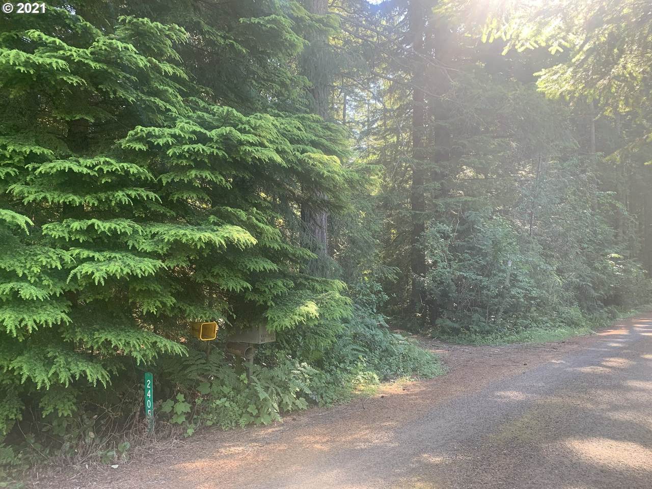 24052 Elwood Rd - Photo 1