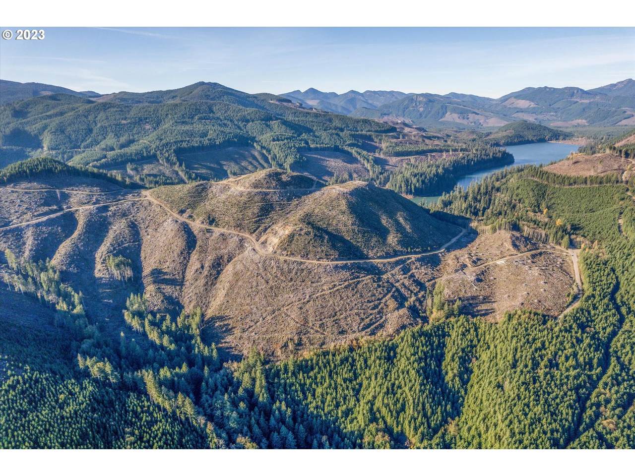 0 Usfs 81 Rd - Photo 1