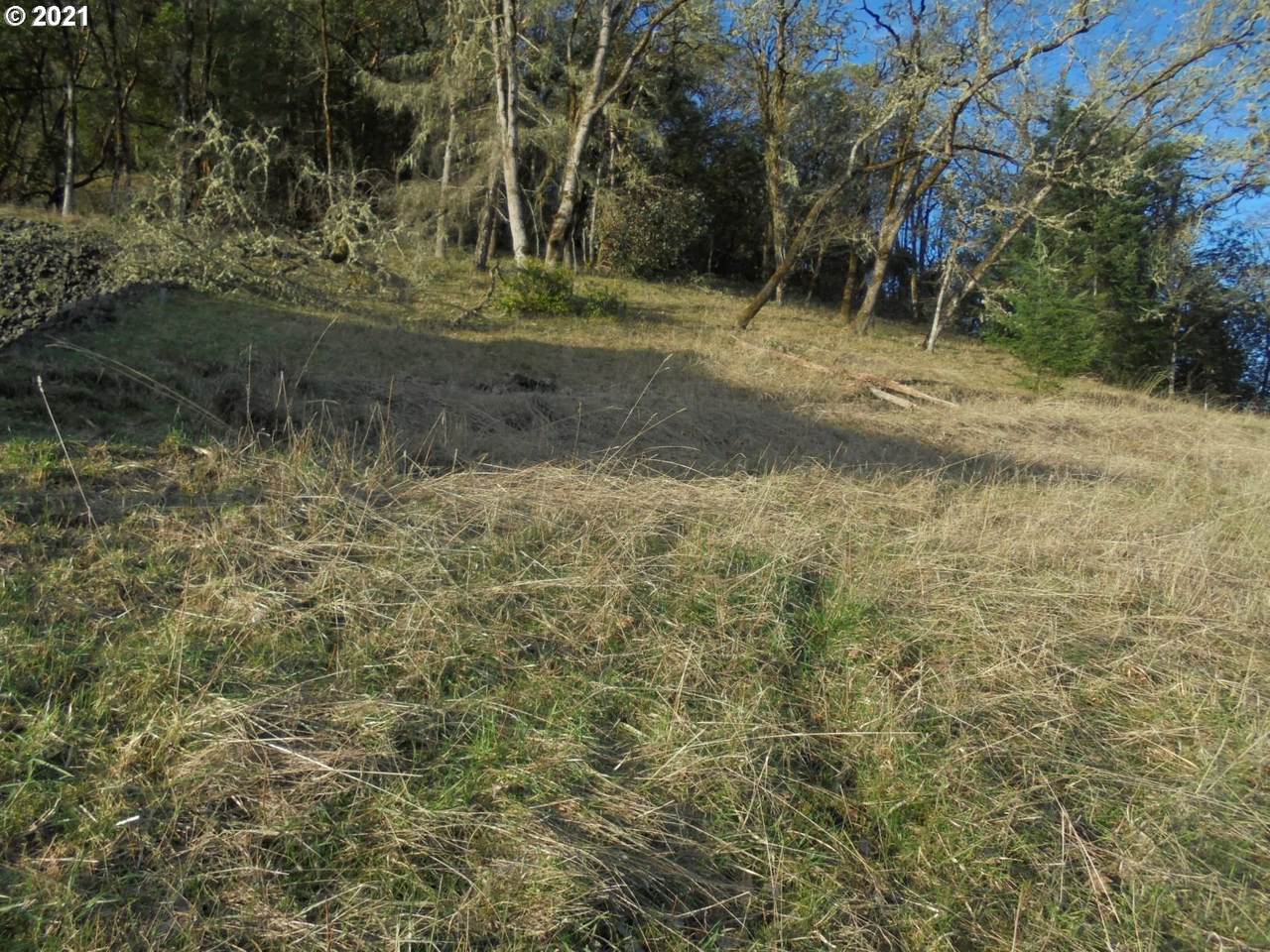 197 Winchester Creek Ave - Photo 1