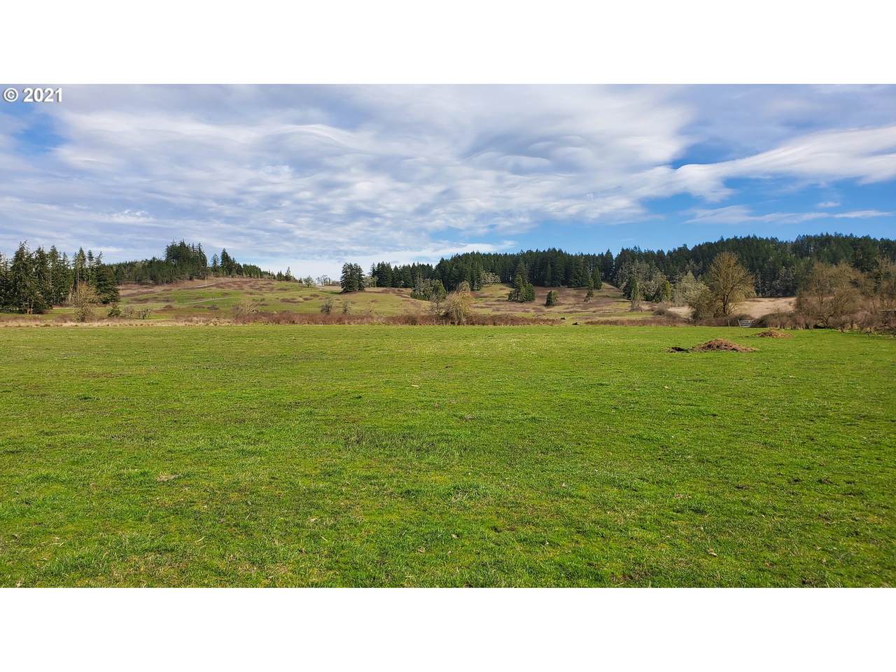 83369 Rattlesnake Rd - Photo 1