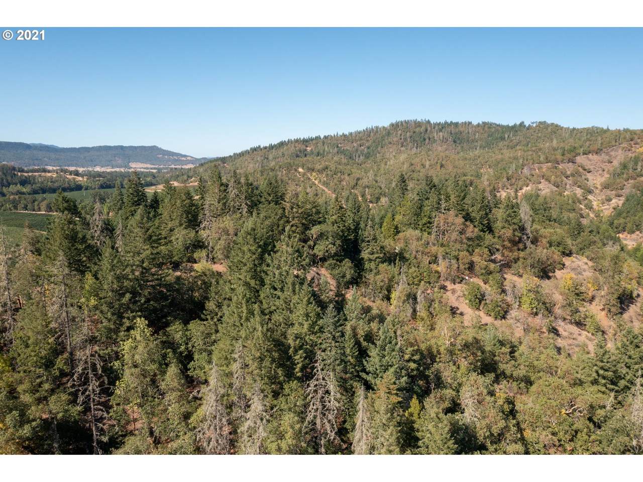 3887 Strickland Canyon Rd - Photo 1