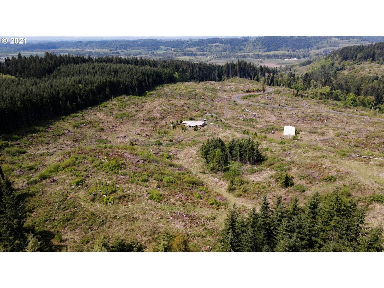 41116 Rodgers Mountain Loop - Photo 1