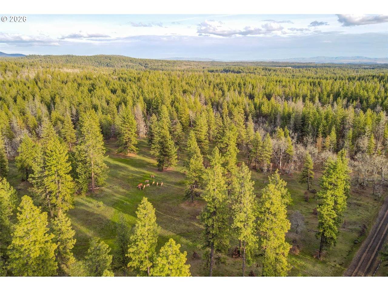 0 Lot 15 Greyback Mt Rd - Photo 1