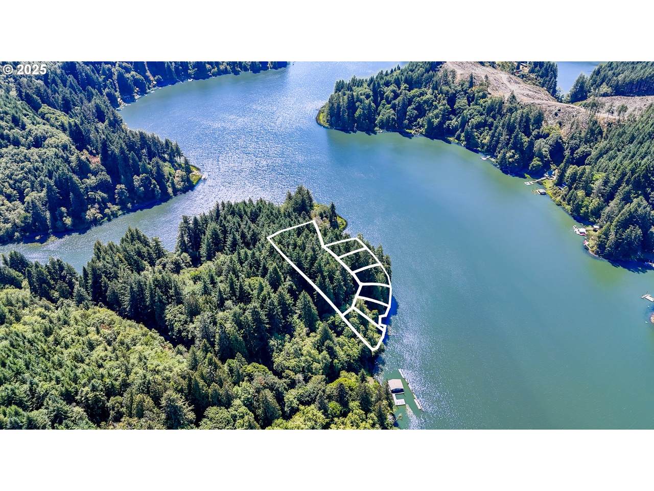 0 Tenmile Lake - Photo 1