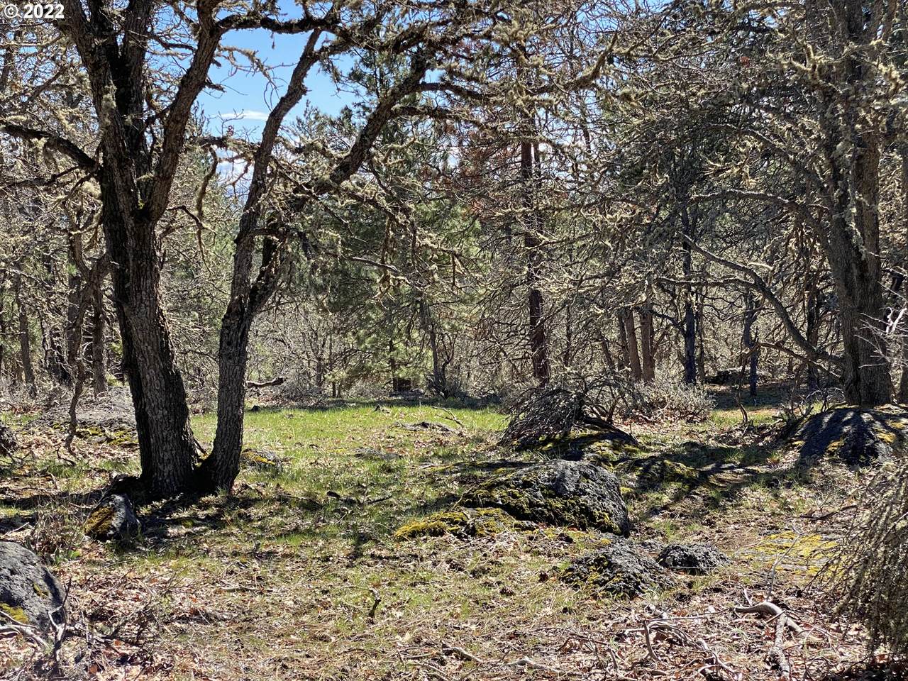 4 Dancing Mountain Rd - Photo 1