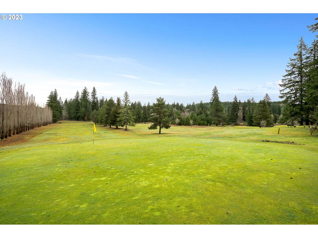 15961 Timber Rd - Photo 1