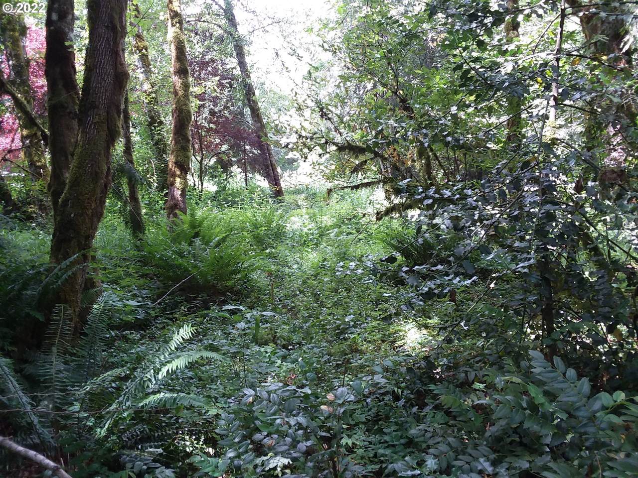 0 E. Brightwood Loop R - Photo 1